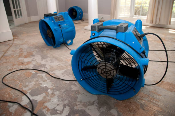 Best Professional water damage repair  in Greenville, IN