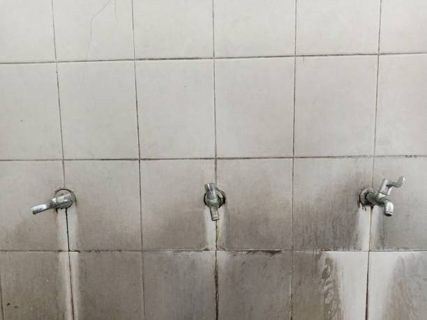 Best 24/7 water damage repair  in Greenville, IN