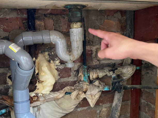 Best Carpet water damage restoration  in Greenville, IN